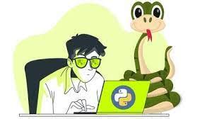 python mega course go beginner to expert in python3